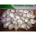 /msite/products/detail/productid/57295656/id/573198.html